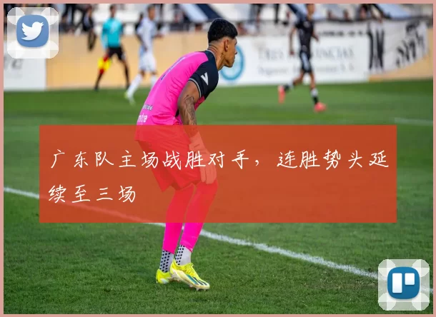 广东队主场战胜对手，连胜势头延续至三场
