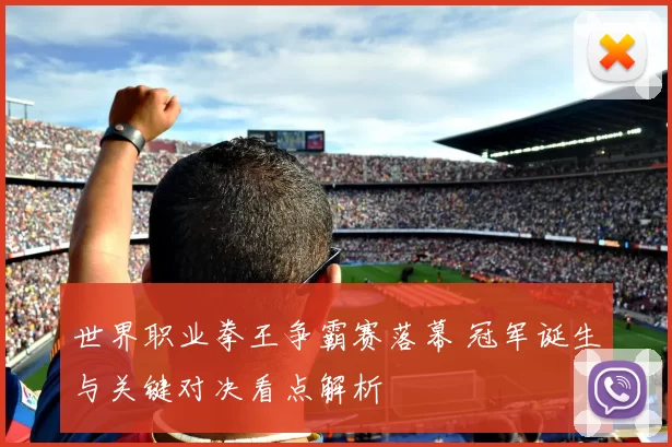 世界职业拳王争霸赛落幕 冠军诞生与关键对决看点解析