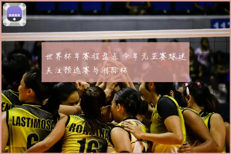 世界杯年赛程盘点 今年无正赛球迷关注预选赛与洲际杯