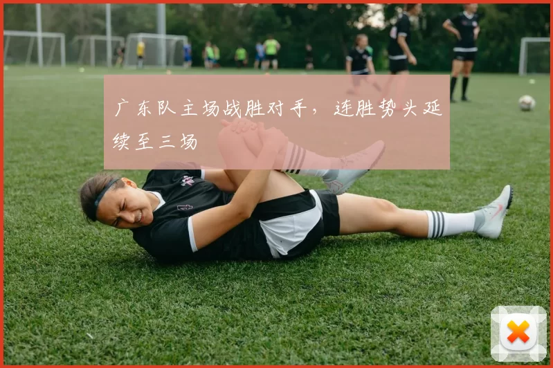 广东队主场战胜对手，连胜势头延续至三场