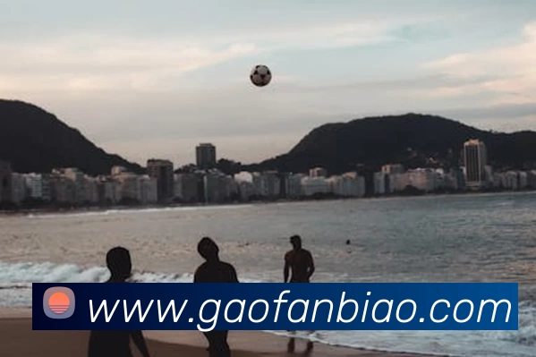 安博站官网登录入口发展历程